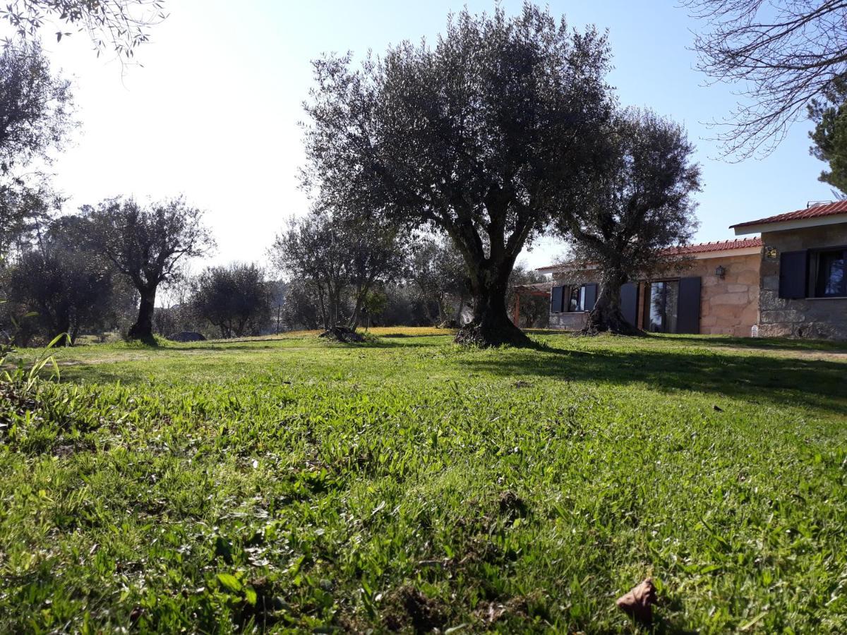 منزل الضيف Santar  في Quinta Da Pedra Mija المظهر الخارجي الصورة