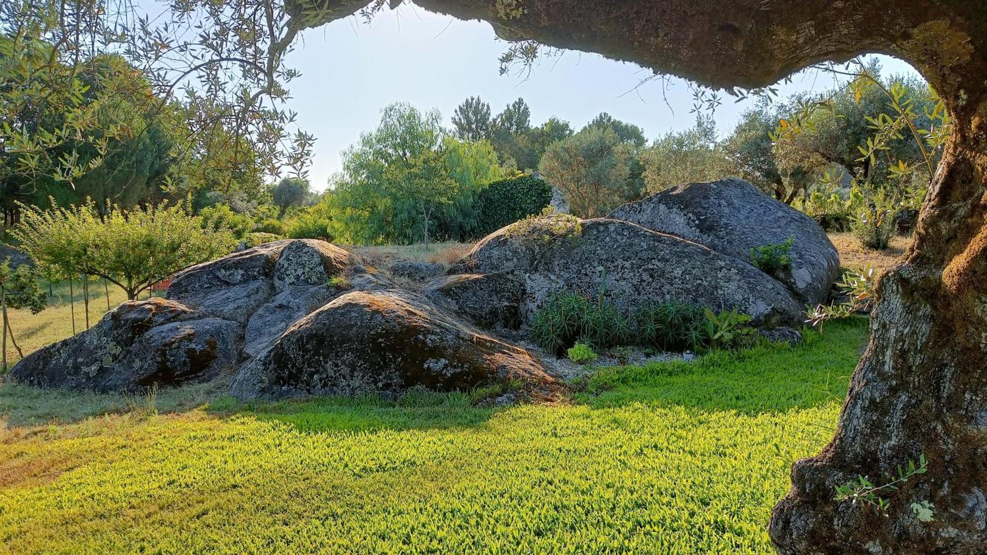 منزل الضيف Santar  في Quinta Da Pedra Mija المظهر الخارجي الصورة