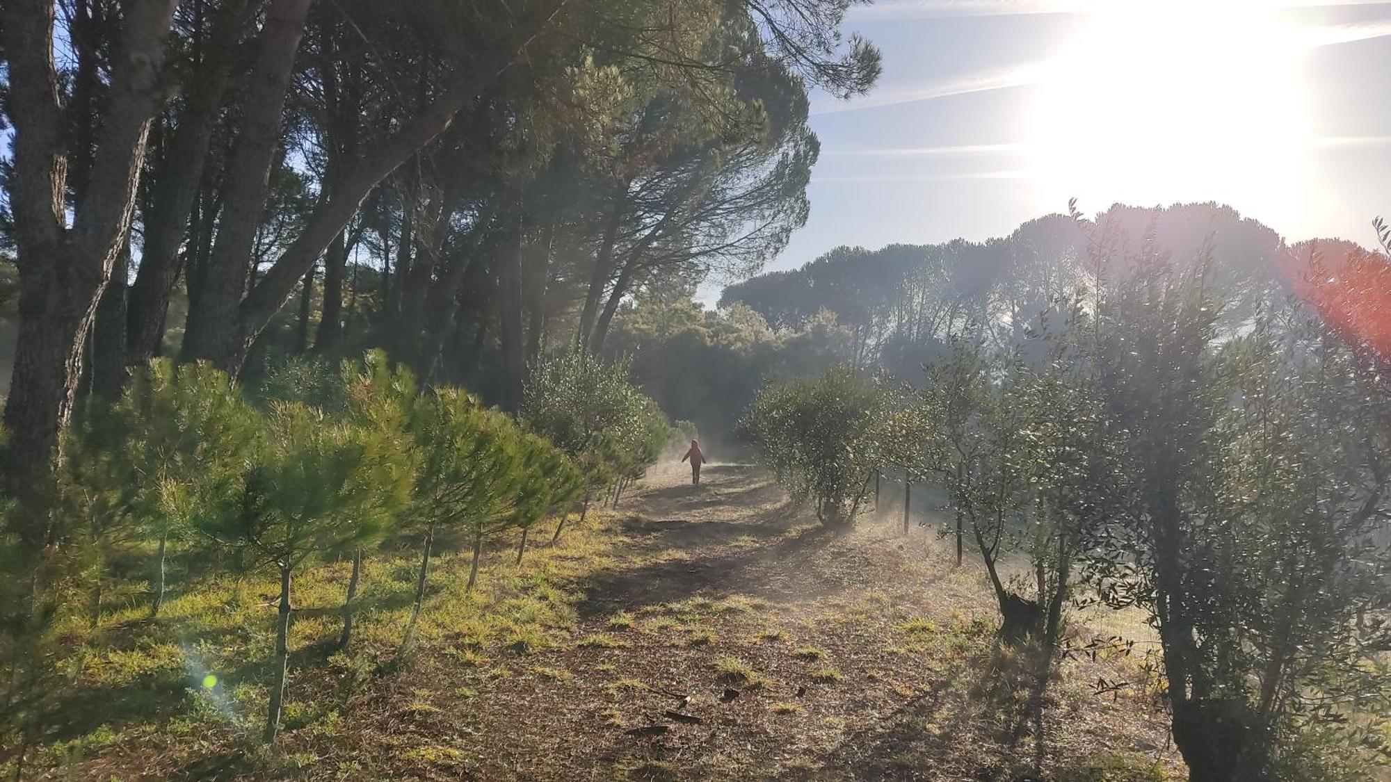 منزل الضيف Santar  في Quinta Da Pedra Mija المظهر الخارجي الصورة