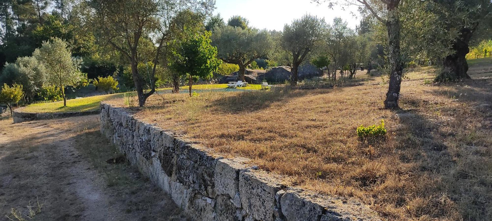 منزل الضيف Santar  في Quinta Da Pedra Mija المظهر الخارجي الصورة