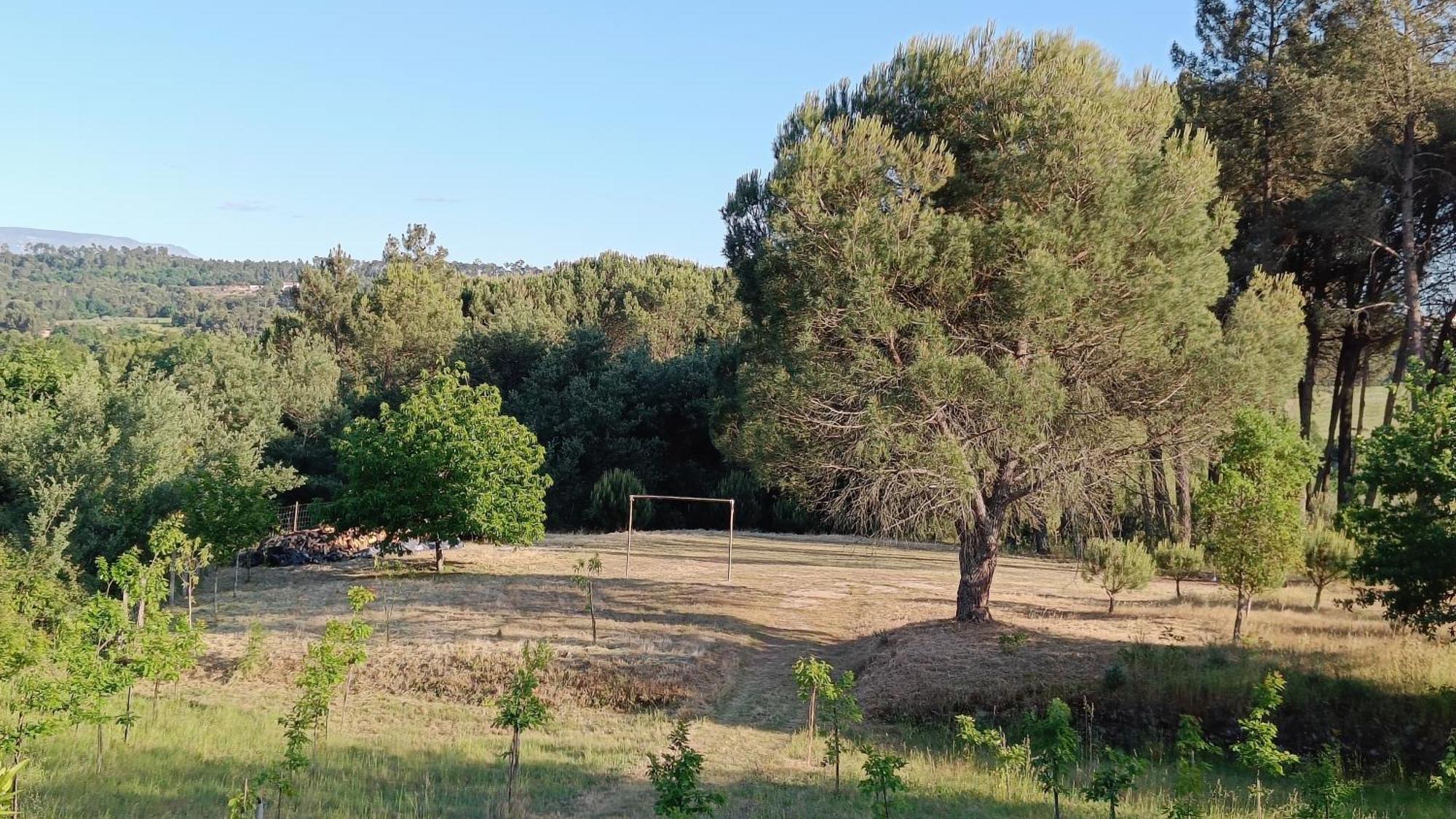 منزل الضيف Santar  في Quinta Da Pedra Mija المظهر الخارجي الصورة