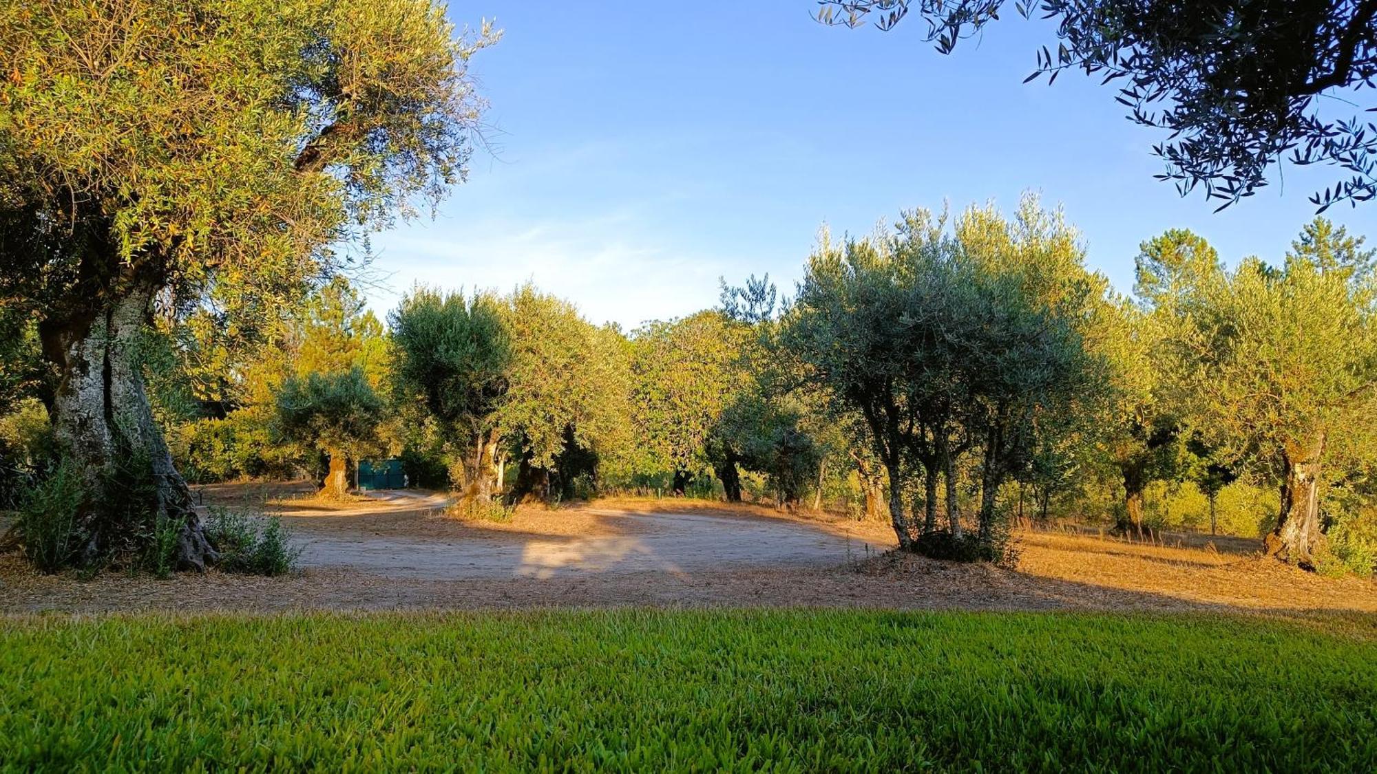 منزل الضيف Santar  في Quinta Da Pedra Mija المظهر الخارجي الصورة