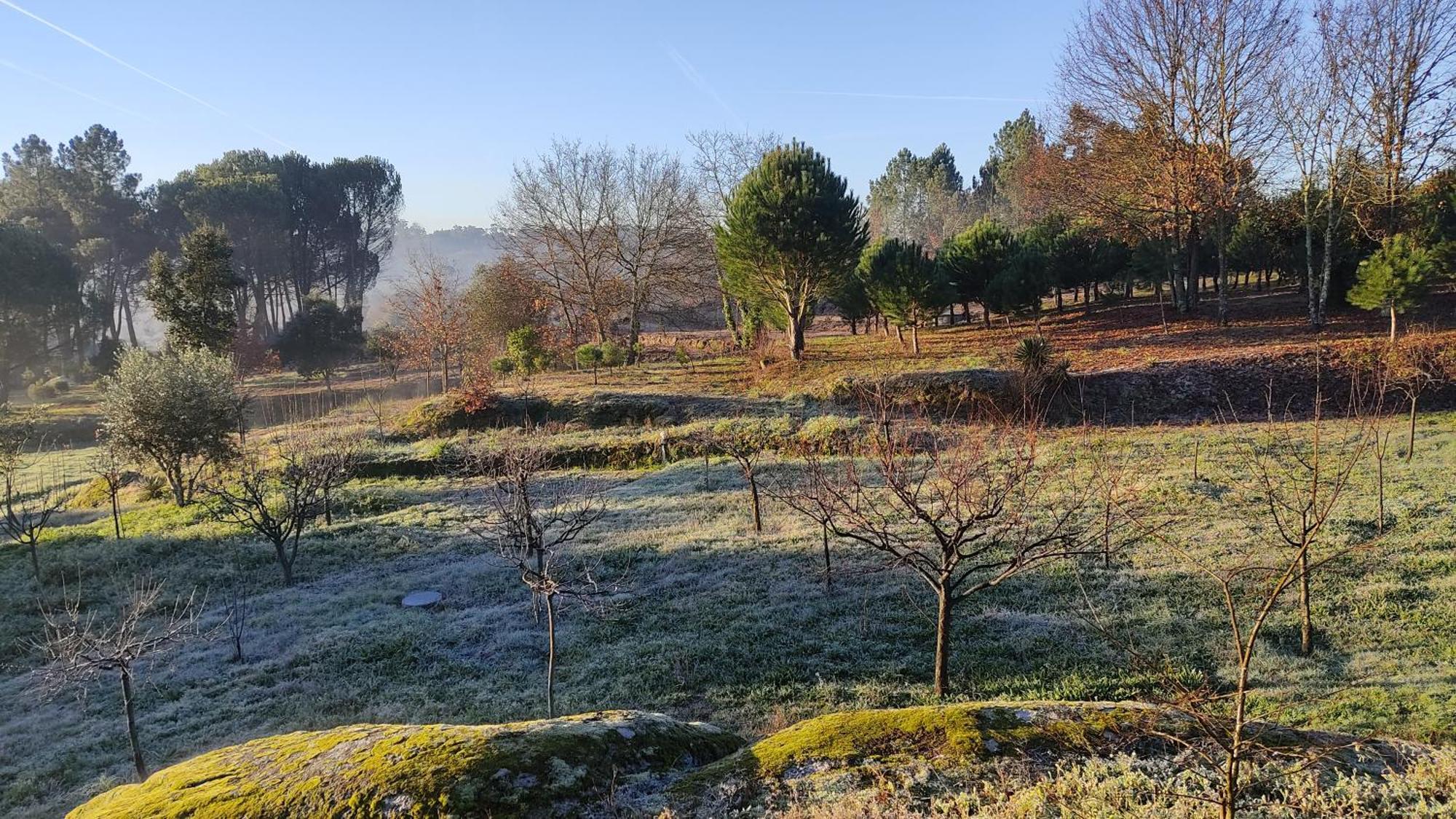 منزل الضيف Santar  في Quinta Da Pedra Mija المظهر الخارجي الصورة