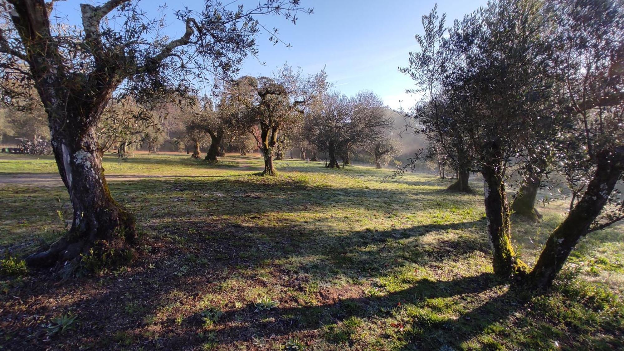 منزل الضيف Santar  في Quinta Da Pedra Mija المظهر الخارجي الصورة