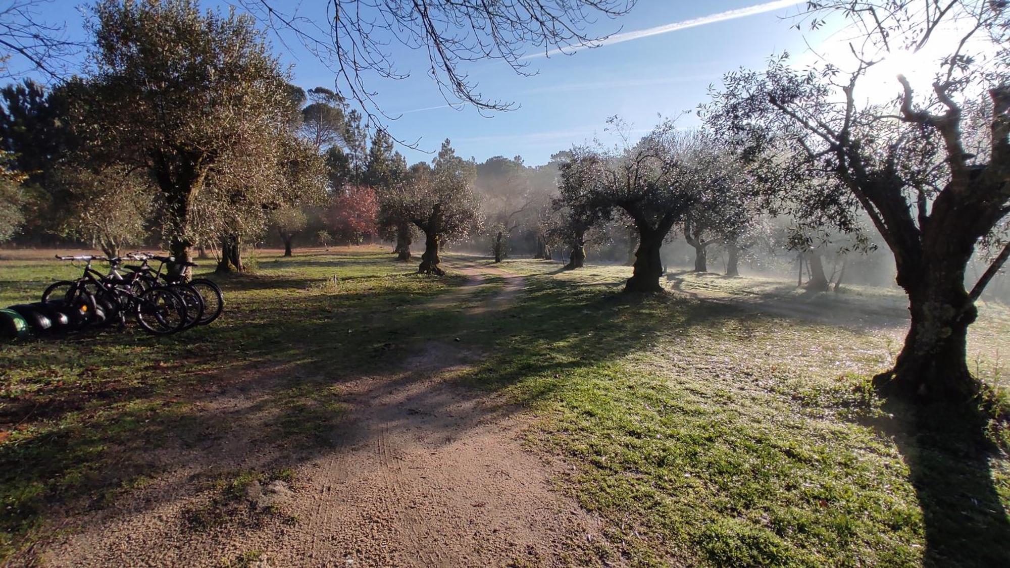 منزل الضيف Santar  في Quinta Da Pedra Mija المظهر الخارجي الصورة