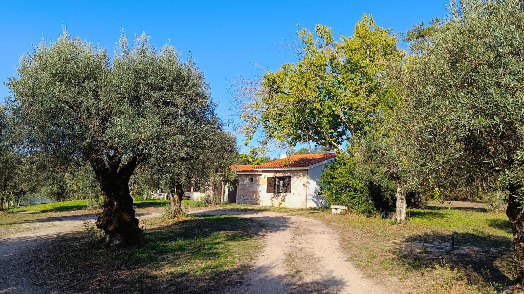 منزل الضيف Santar  في Quinta Da Pedra Mija المظهر الخارجي الصورة