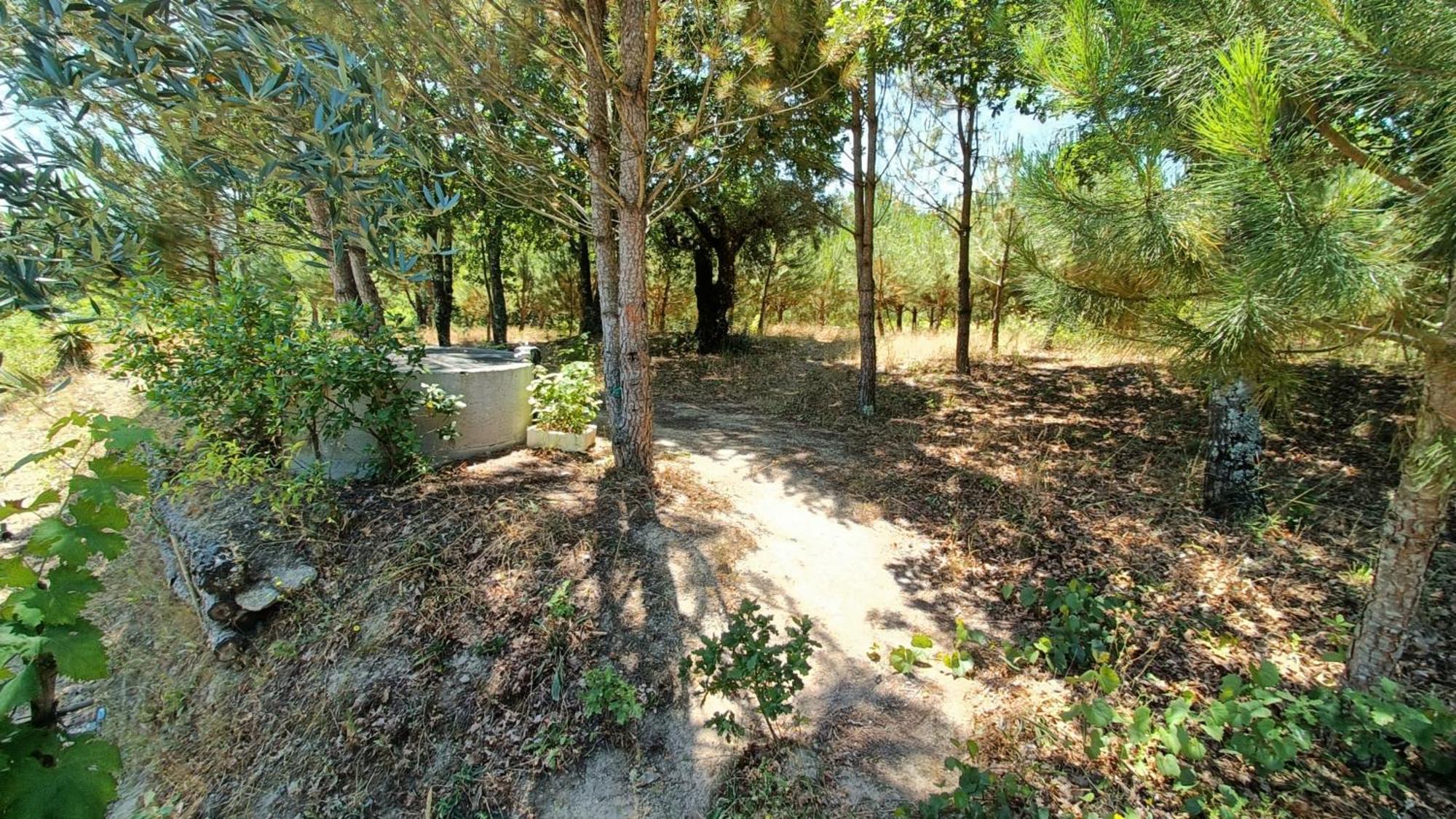 منزل الضيف Santar  في Quinta Da Pedra Mija المظهر الخارجي الصورة