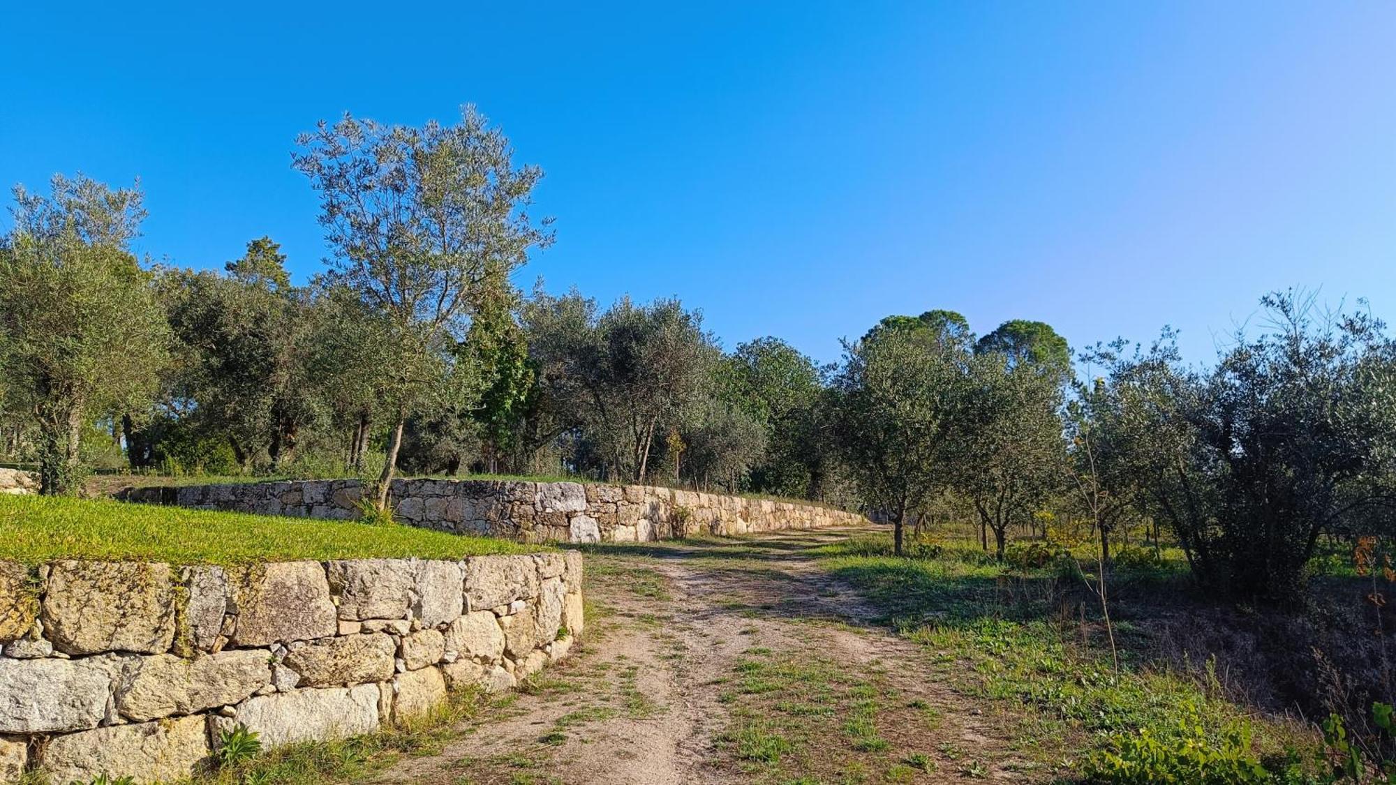 منزل الضيف Santar  في Quinta Da Pedra Mija المظهر الخارجي الصورة