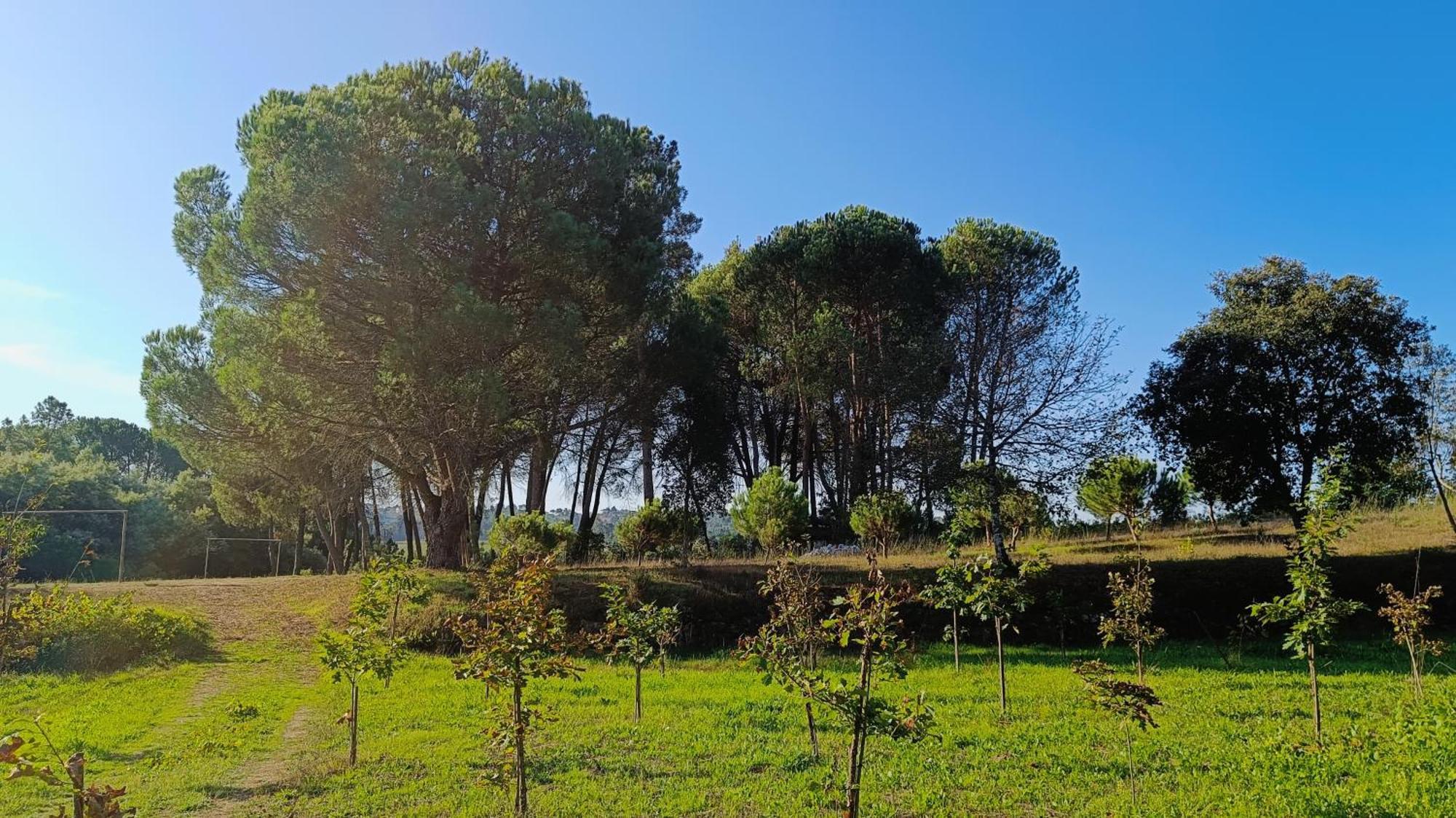 منزل الضيف Santar  في Quinta Da Pedra Mija المظهر الخارجي الصورة