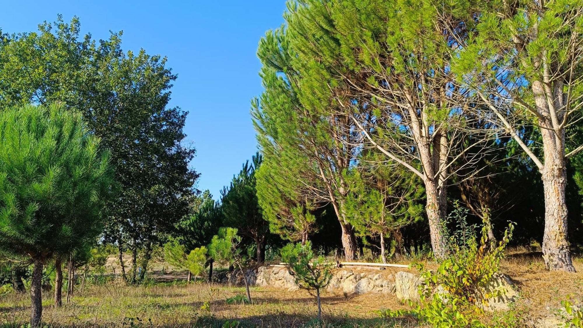منزل الضيف Santar  في Quinta Da Pedra Mija المظهر الخارجي الصورة