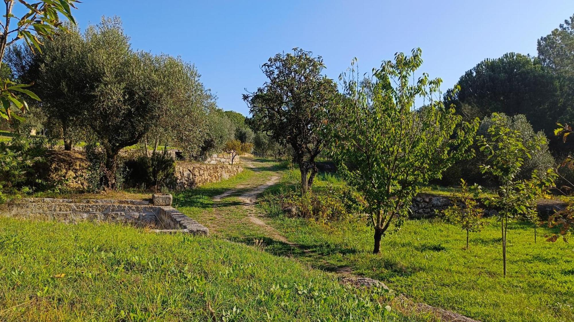 منزل الضيف Santar  في Quinta Da Pedra Mija المظهر الخارجي الصورة