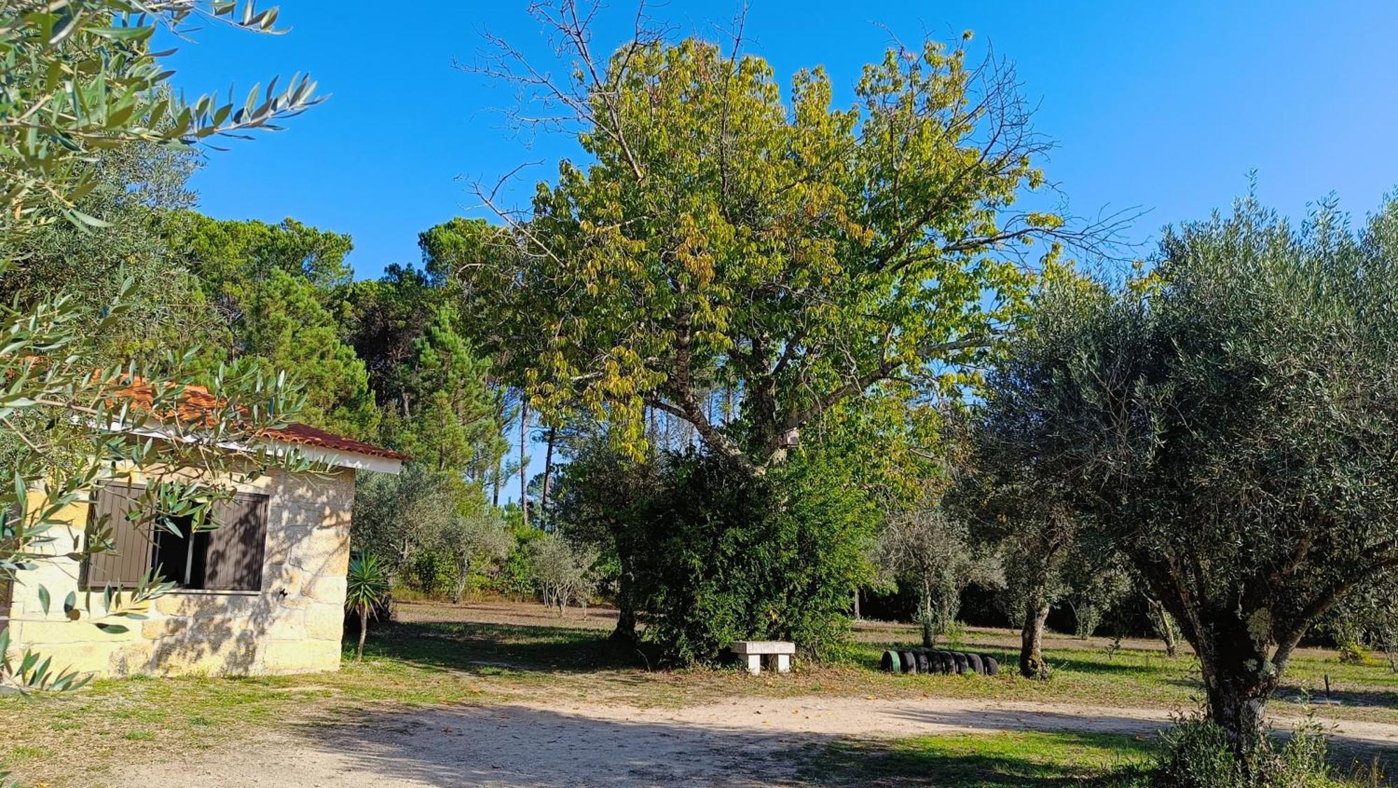 منزل الضيف Santar  في Quinta Da Pedra Mija المظهر الخارجي الصورة