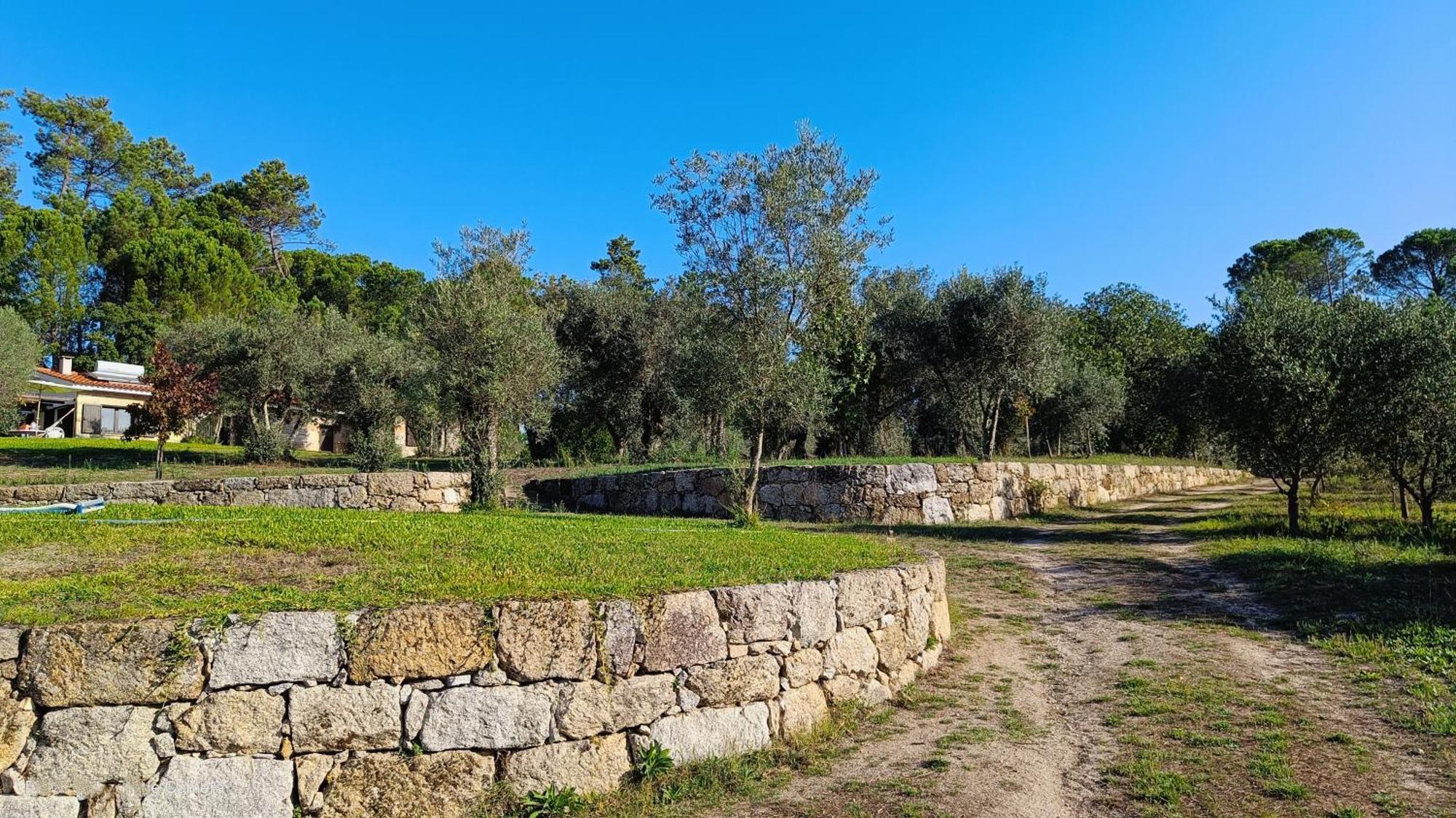 منزل الضيف Santar  في Quinta Da Pedra Mija المظهر الخارجي الصورة
