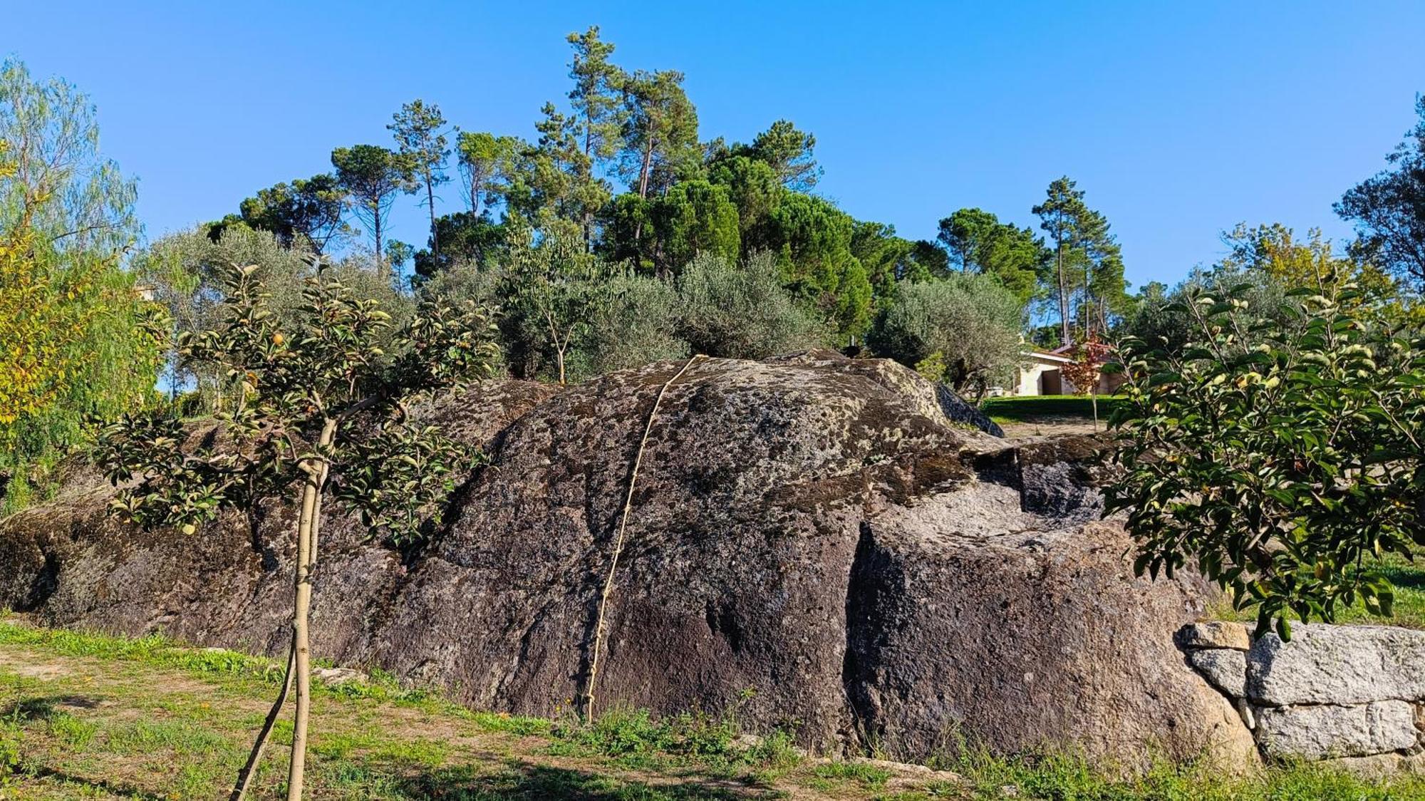 منزل الضيف Santar  في Quinta Da Pedra Mija المظهر الخارجي الصورة