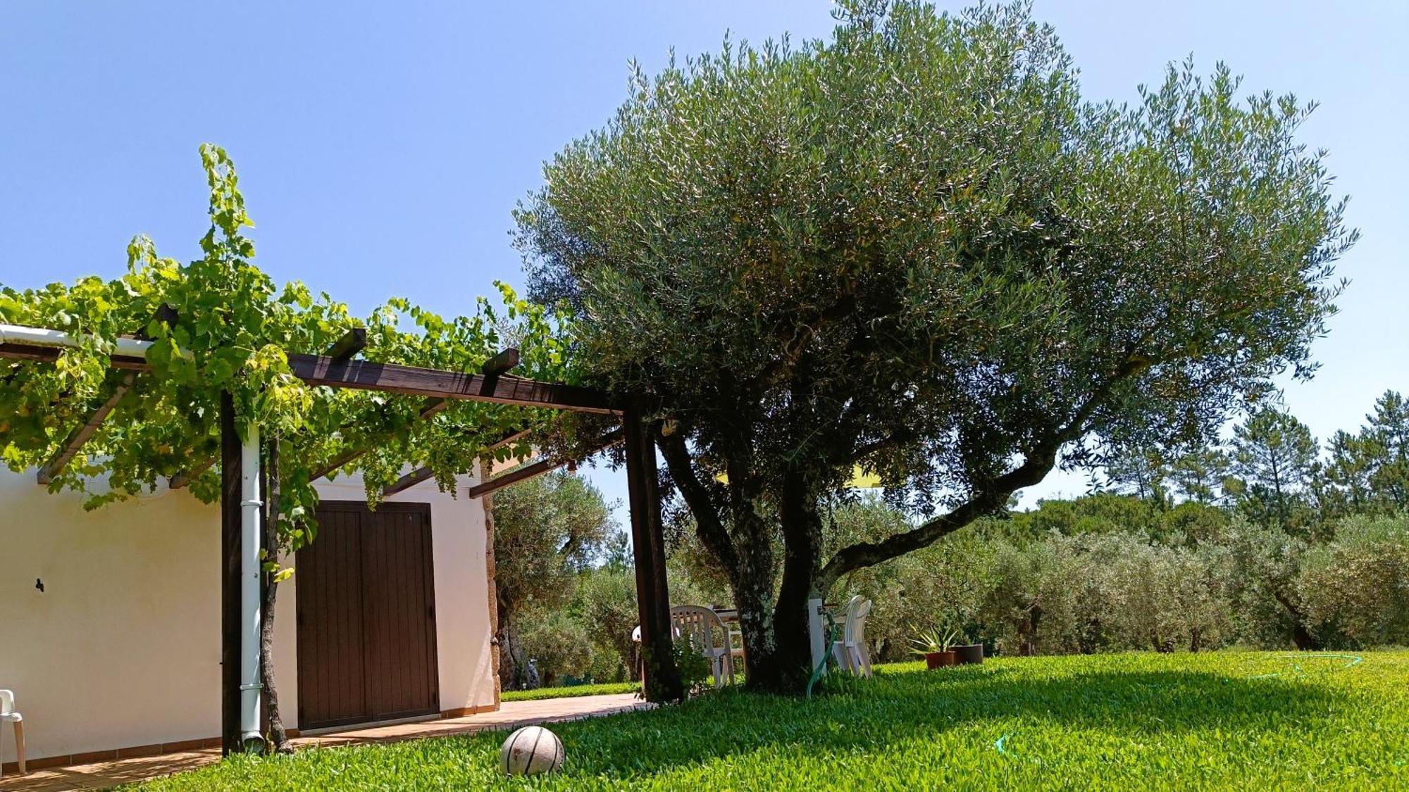 منزل الضيف Santar  في Quinta Da Pedra Mija المظهر الخارجي الصورة