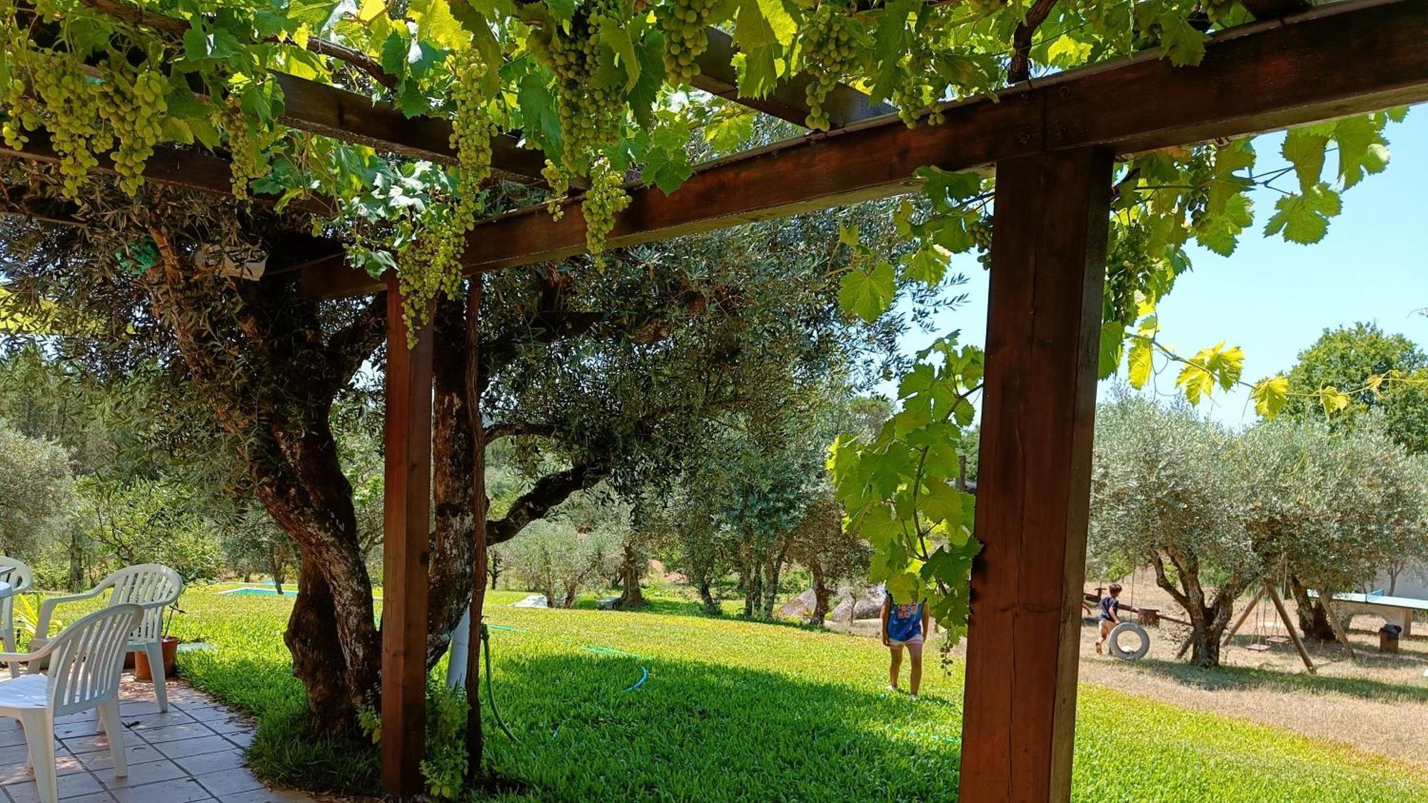 منزل الضيف Santar  في Quinta Da Pedra Mija المظهر الخارجي الصورة