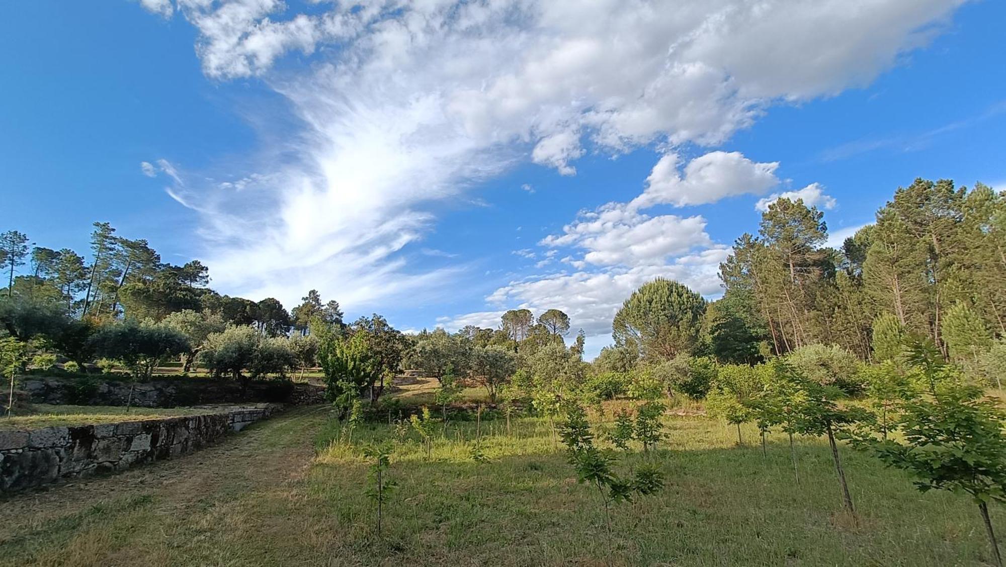 منزل الضيف Santar  في Quinta Da Pedra Mija المظهر الخارجي الصورة