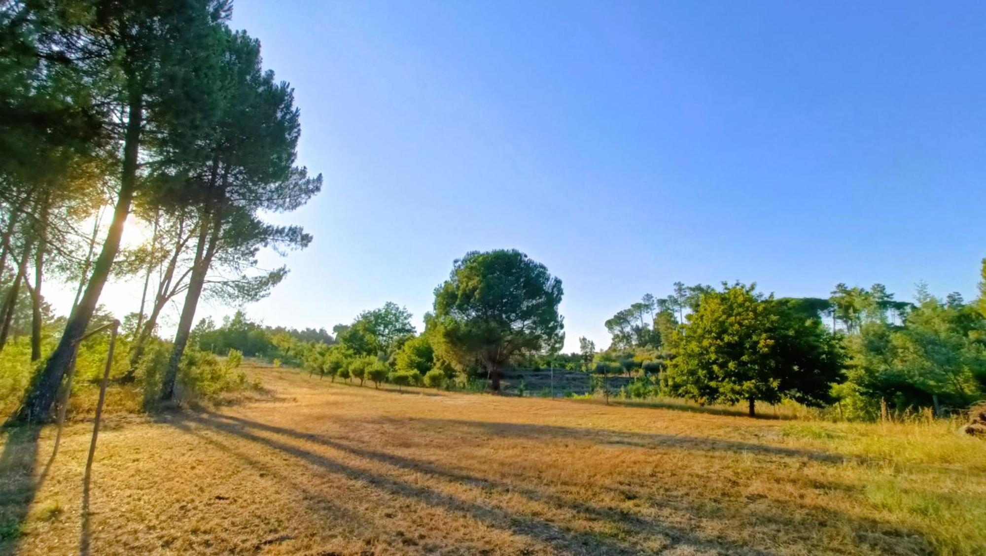 منزل الضيف Santar  في Quinta Da Pedra Mija المظهر الخارجي الصورة
