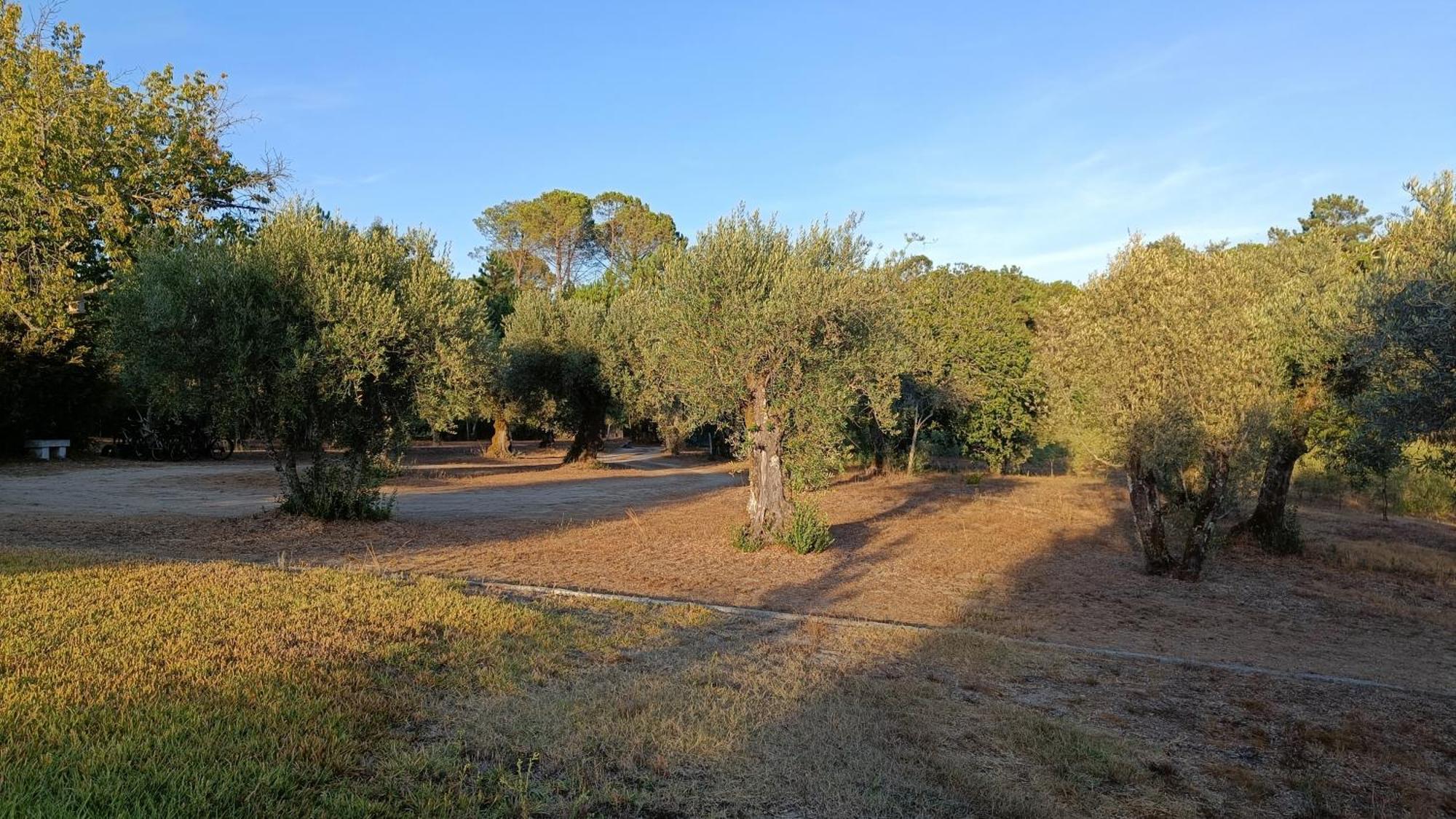 منزل الضيف Santar  في Quinta Da Pedra Mija المظهر الخارجي الصورة