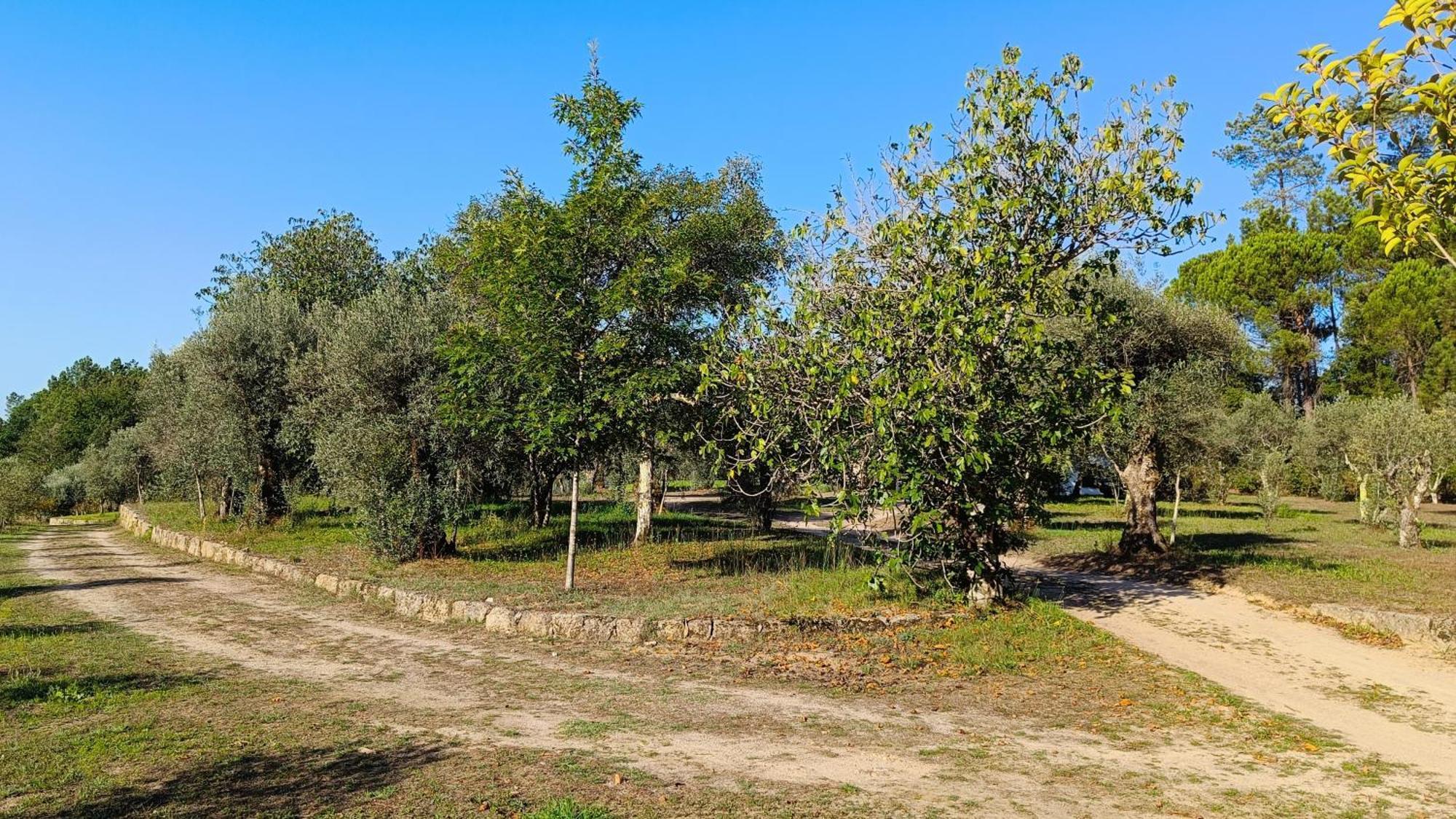 منزل الضيف Santar  في Quinta Da Pedra Mija المظهر الخارجي الصورة