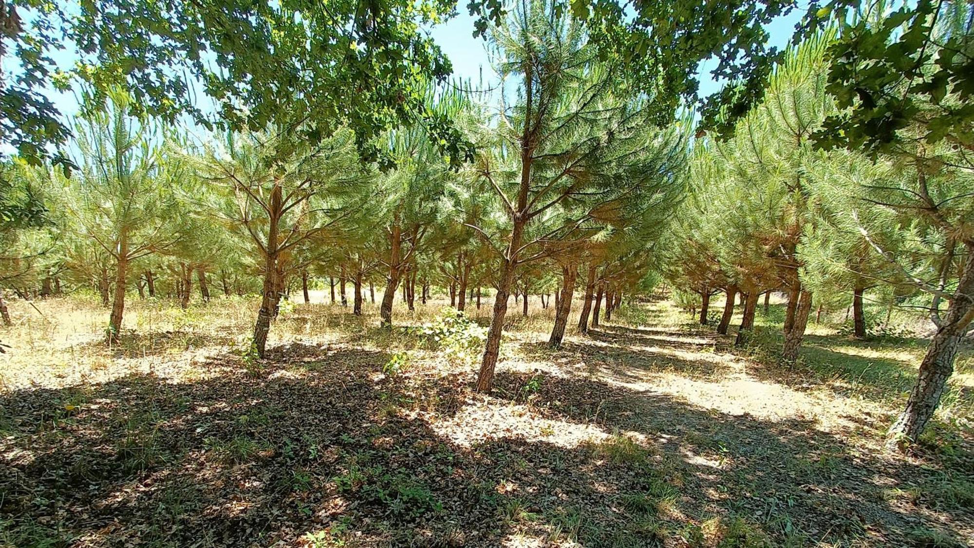 منزل الضيف Santar  في Quinta Da Pedra Mija المظهر الخارجي الصورة